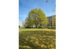 Etagenwohnung Kronshagen - 4 Zimmer, 88 m&sup2;, 258.000&euro; | Angebot:26480261