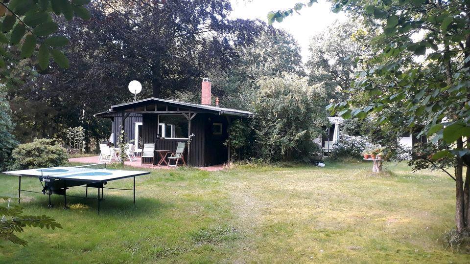 Bungalow Felde - 4 Zimmer, 120 m&sup2;, 239.000&euro; | Angebot:26107984
