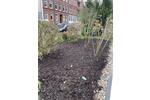 Etagenwohnung Kiel Südfriedhof - 4 Zimmer, 95 m&sup2;, 1.395&euro; | Angebot:25980966