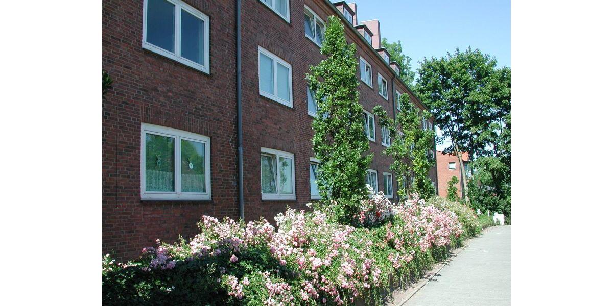 Erdgeschoßwohnung Kiel Gaarden-Ost - 1.5 Zimmer, 42 m&sup2;, 380&euro; | Angebot:25320795