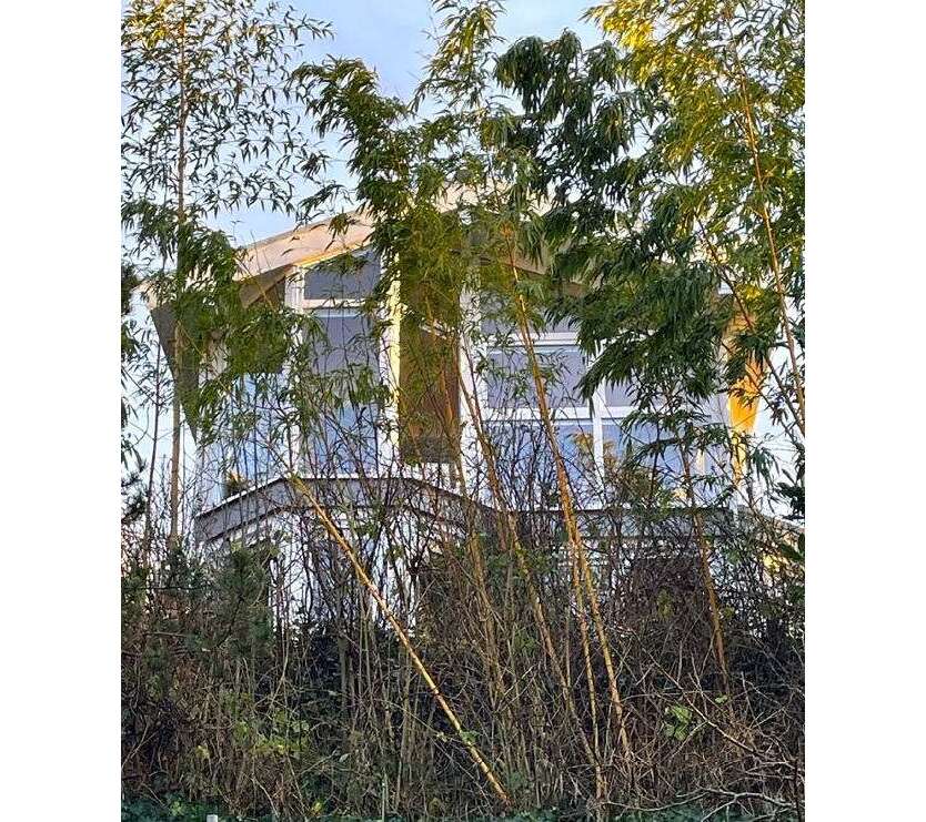 Haus zum Kaufen in Bosau 590.000 € 106 m²