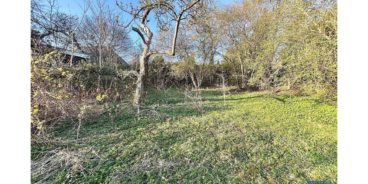 Einfamilienhaus Molfsee Schulensee - 4 Zimmer, 159 m&sup2;, 328.000&euro; | Angebot:22918853