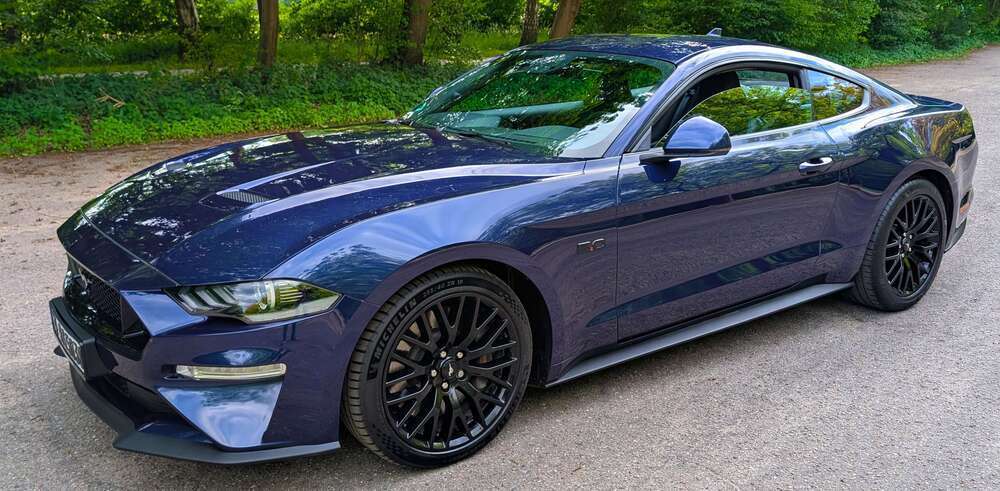 Mustang