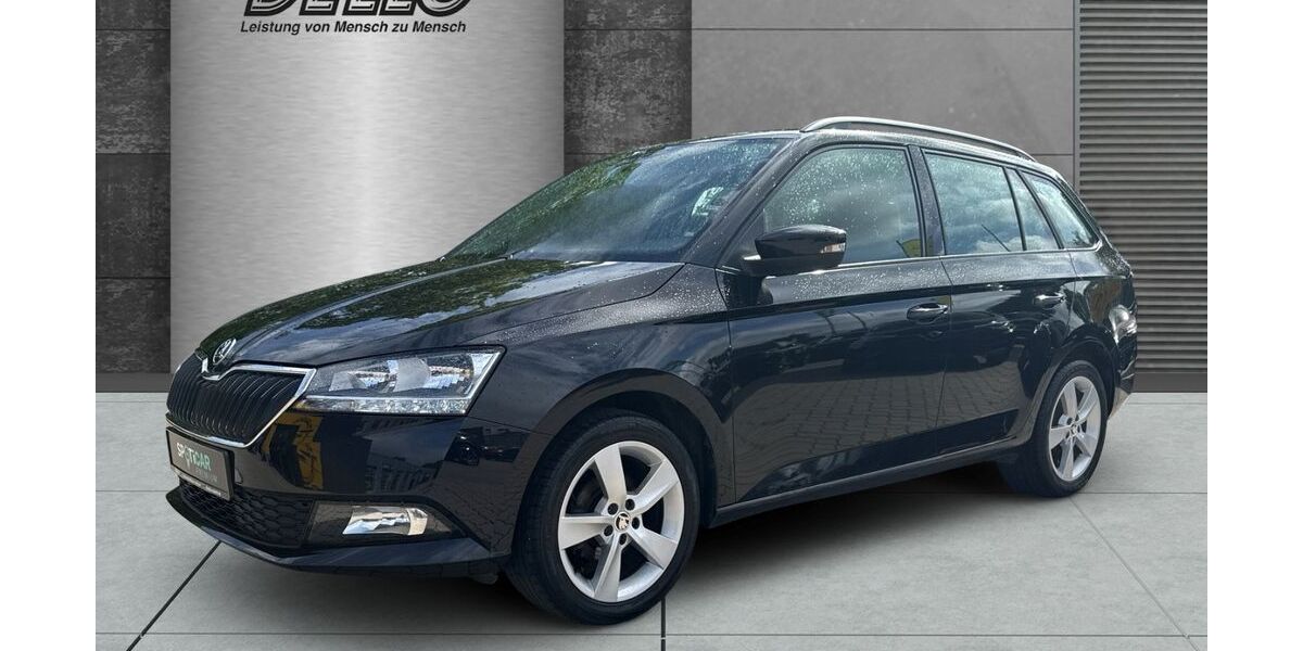 Skoda Fabia 76.195 km 11.580 &euro; Preetz 24211