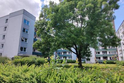 Wohnung Melsdorf - 2 Zimmer, 62 m&sup2;, 125.000&euro; | Angebot:26855341