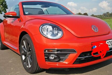 VW Beetle