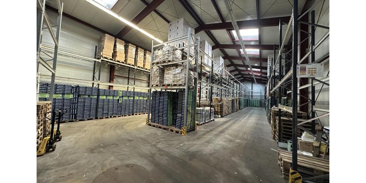 Lagerhalle mit Hochregalen - Lütt Immobilien zimmer