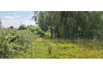Ufergrundstück auf Eigenland in Heidkate, nahe Strand - Ferienhaus Wisch /Heidkate Heidkate | Angebot:27071489