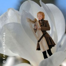 Moments Of Silence 14.03.2026 Gewächshäuser des Botanischen Garten der Uni Kiel