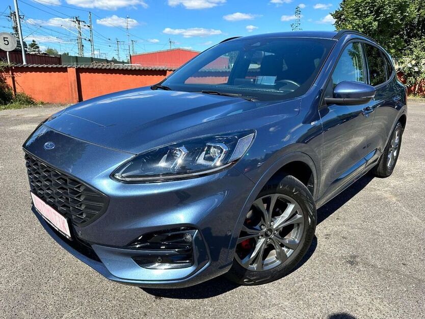 Kuga