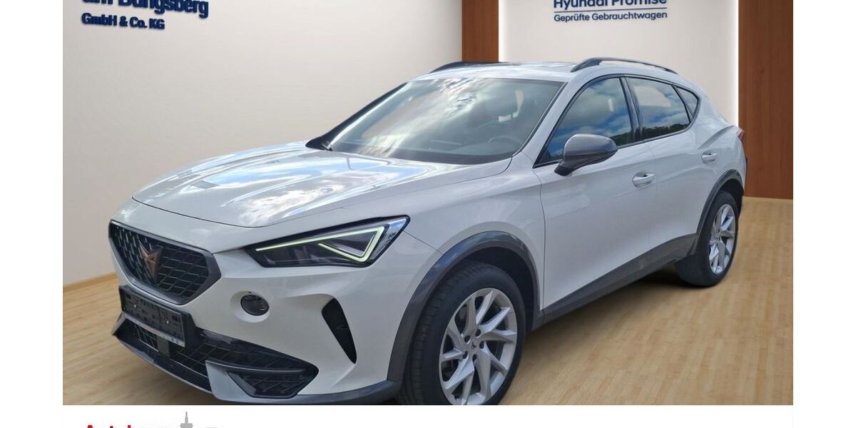 Cupra Formentor 80.701 km 25.890 € Schwentinental 24223