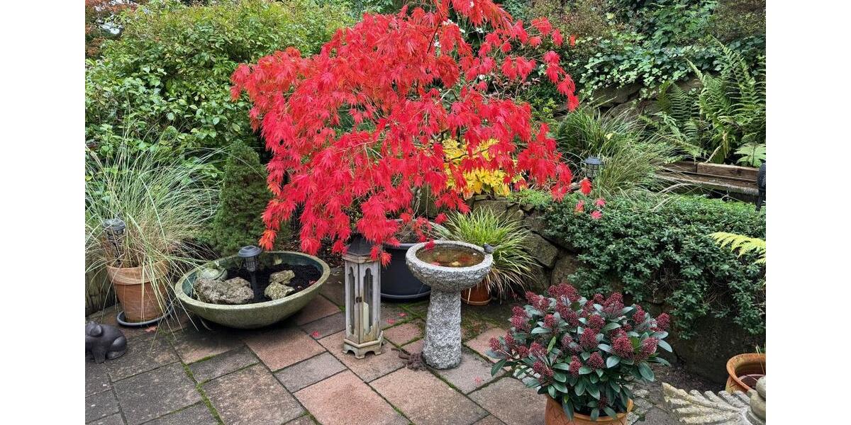 Erdgeschoßwohnung Mönkeberg - 3 Zimmer, 78 m&sup2;, 2.250&euro; | Angebot:25612534