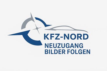 Renault Scenic 15.000 km 16.990 &euro; Neumünster 24536