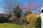 Einfamilienhaus Schwentinental - 5 Zimmer, 150 m&sup2;, 429.000&euro; | Angebot:26220993