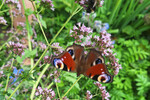 Wohnen, wo die Natur ganz nah ist und der Alltag Pause macht