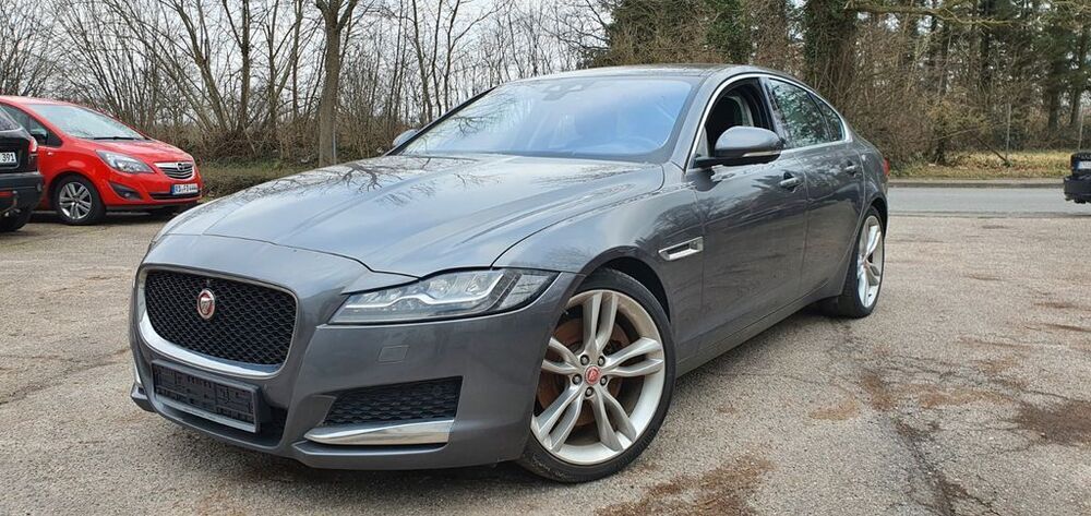 XF