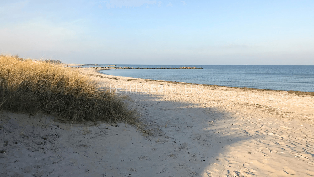 + Grundstück mit neuem B-Plan nahe der Ostsee + zimmer