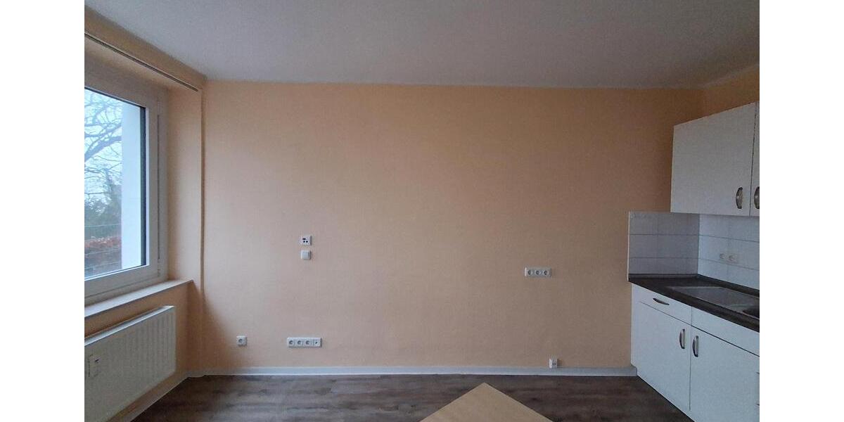 Erdgeschoßwohnung Kiel Neumühlen-Dietrichsdorf - 1 Zimmer, 20 m&sup2;, 216&euro; | Angebot:24568296