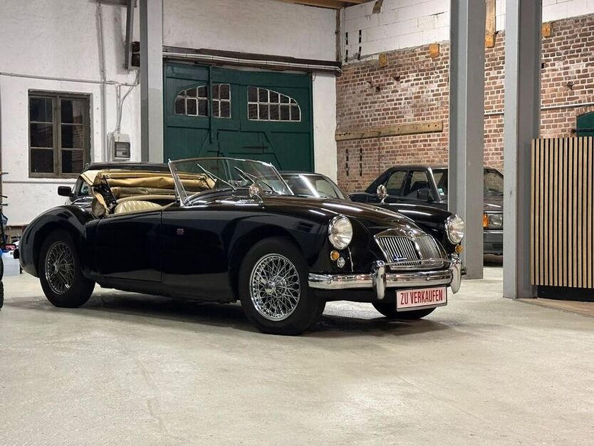 MGA