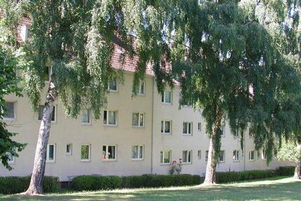 Wohnung Kiel Gaarden-Ost - 2 Zimmer, 39 m&sup2;, 399&euro; | Angebot:26455158