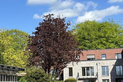 Wohnung Nortorf - 2 Zimmer, 53 m&sup2;, 770&euro; | Angebot:24694919