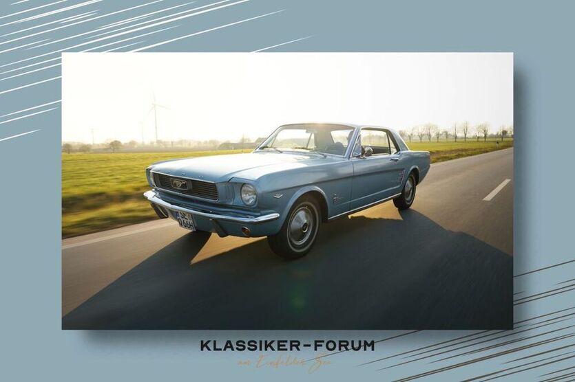 Mustang