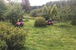 Einfamilienhaus Molfsee - 850.000&euro; | Angebot:27091435