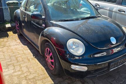 VW Beetle 135.200 km 650 &euro; Neumünster 24536