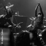 Igorrr