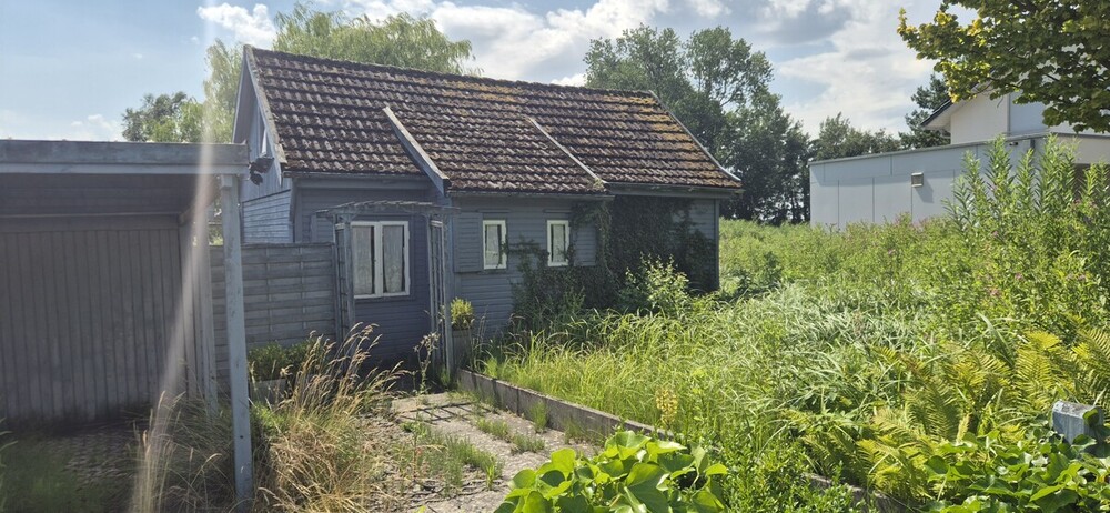 Ufergrundstück auf Eigenland in Heidkate, nahe Strand - Ferienhaus Wisch /Heidkate Heidkate | Angebot:27071489