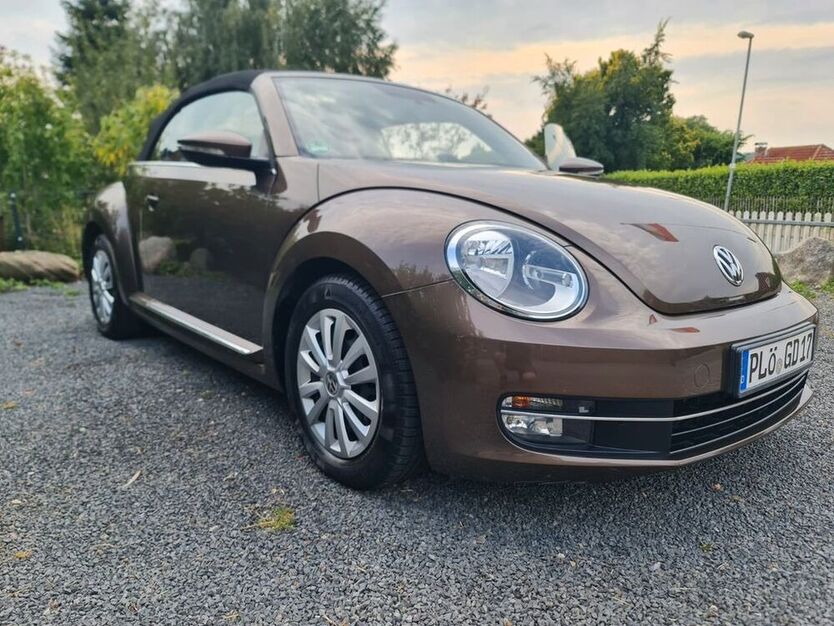 Beetle