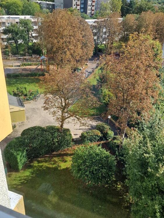 Wohnung zu verm. 94qm in 24109 Kiel
