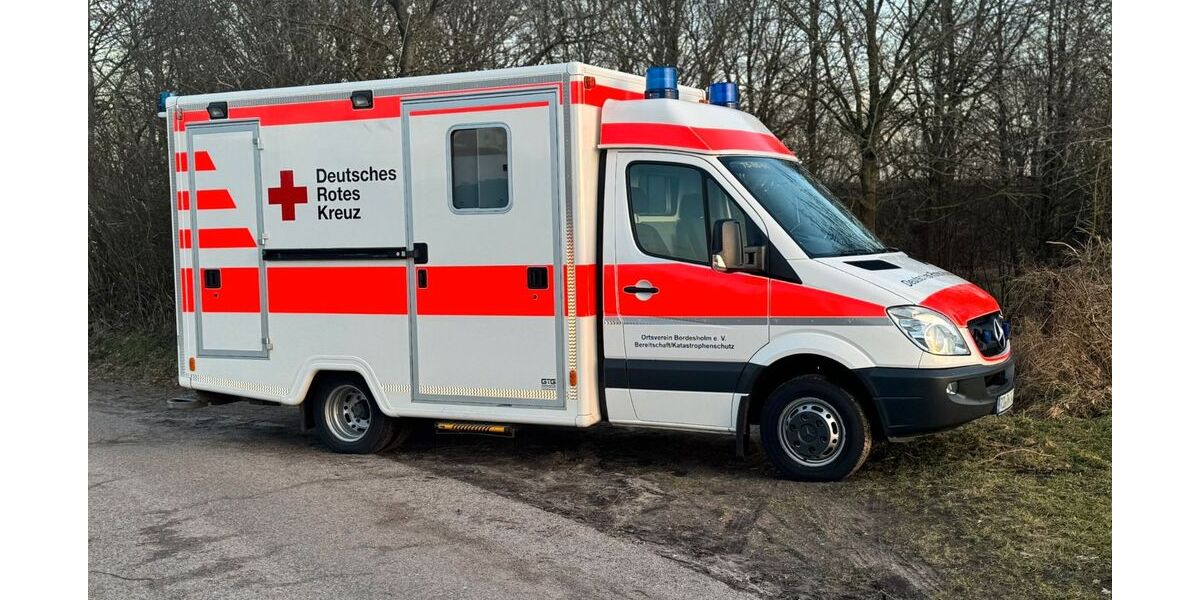 Mercedes-Benz Sprinter 252.230 km 10.100 &euro; BORDESHOLM 24582