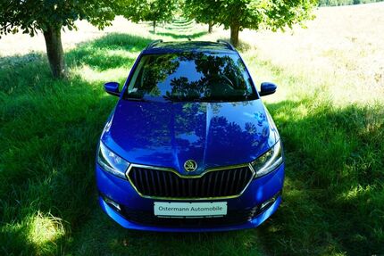 Skoda Fabia 44.409 km 16.660 € Schwentinental 24223