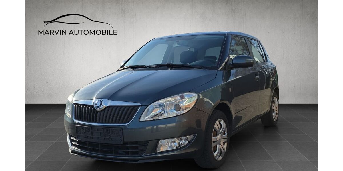 Skoda Fabia 35.532 km 7.880 &euro; Schellhorn 24211