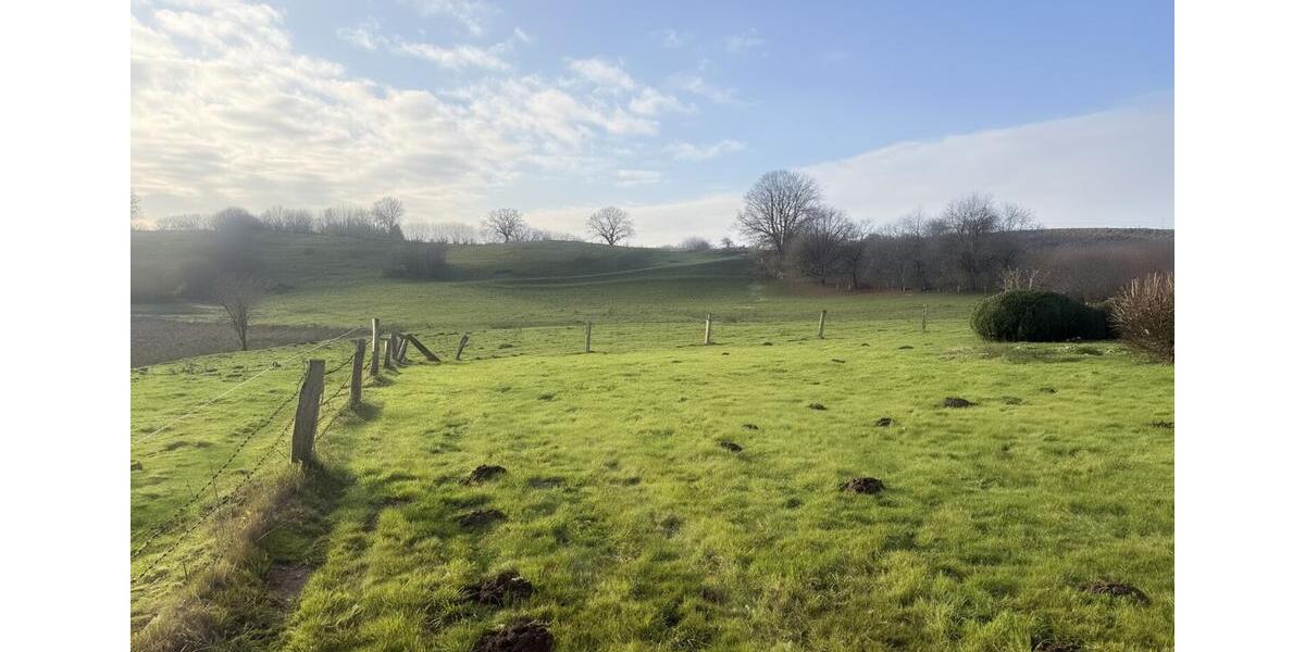 Erdgeschoßwohnung Molfsee - 4 Zimmer, 164 m&sup2;, 2.850&euro; | Angebot:24443699