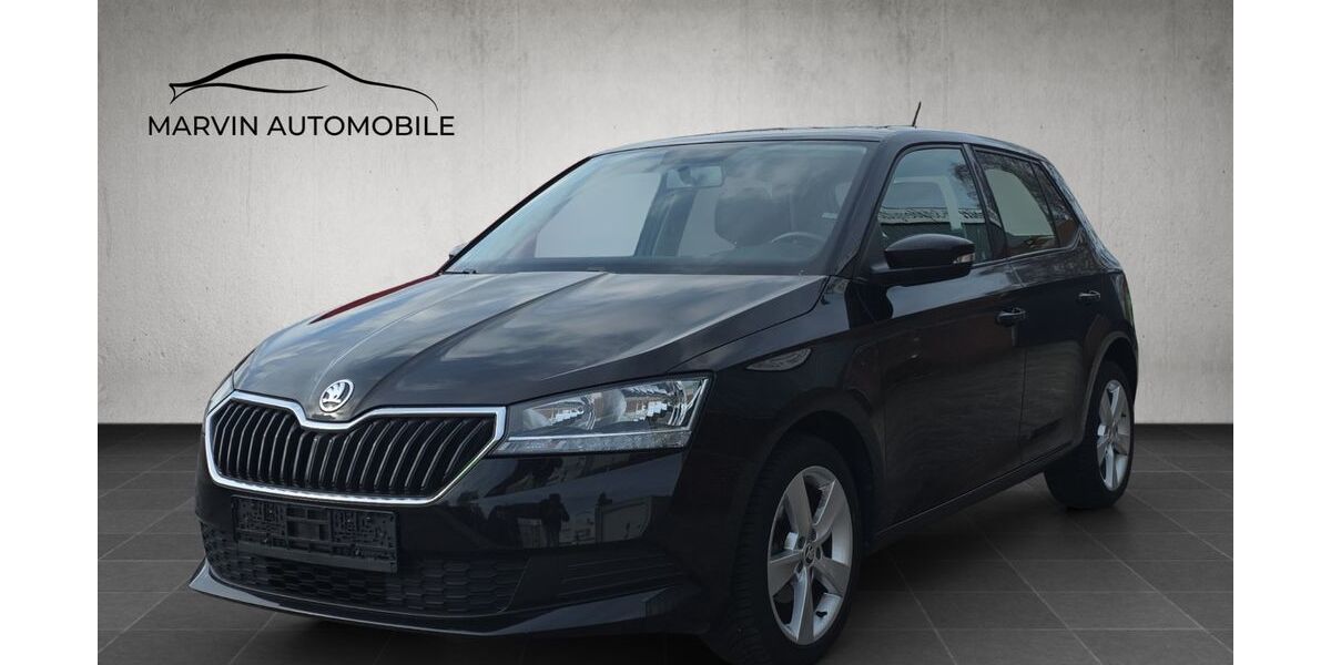 Skoda Fabia 26.418 km 11.280 &euro; Schellhorn 24211