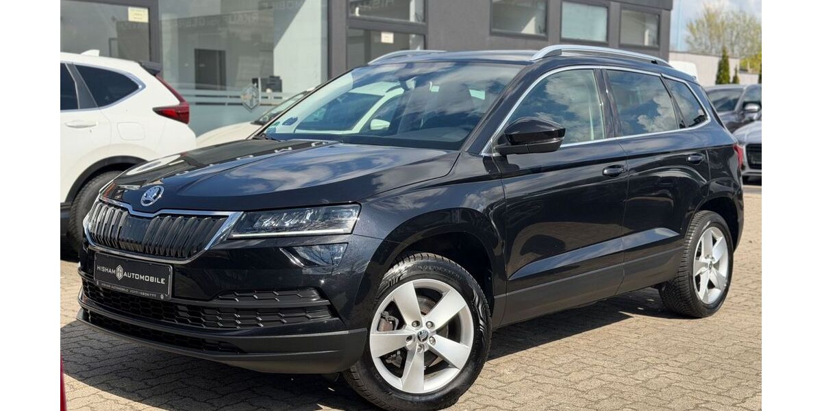 Skoda Karoq 94.590 km 18.490 &euro; Neumünster 24536