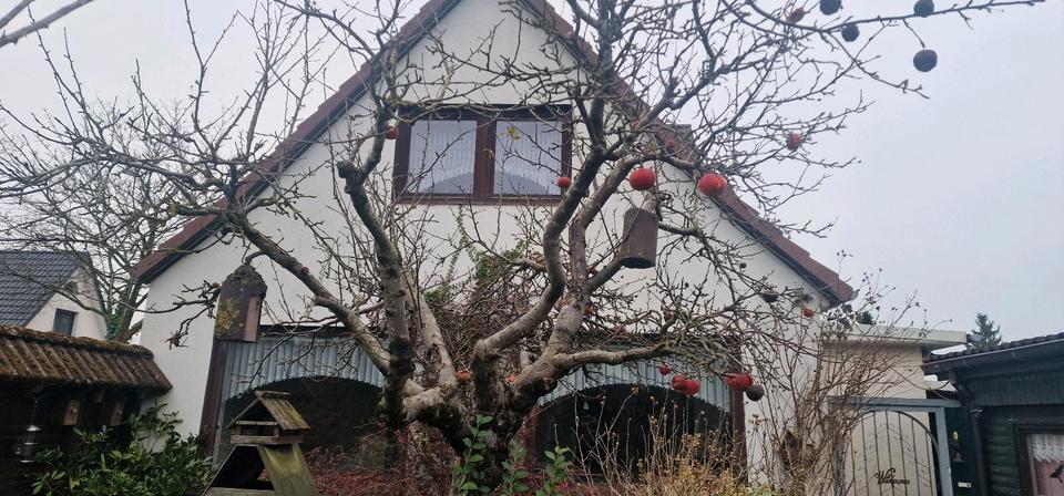 Einfamilienhaus Tasdorf - 6 Zimmer, 160 m&sup2;, 299.000&euro; | Angebot:26679676