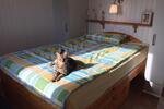 Einfamilienhaus Hohenfelde - 3 Zimmer, 50 m&sup2;, 900&euro; | Angebot:26305699