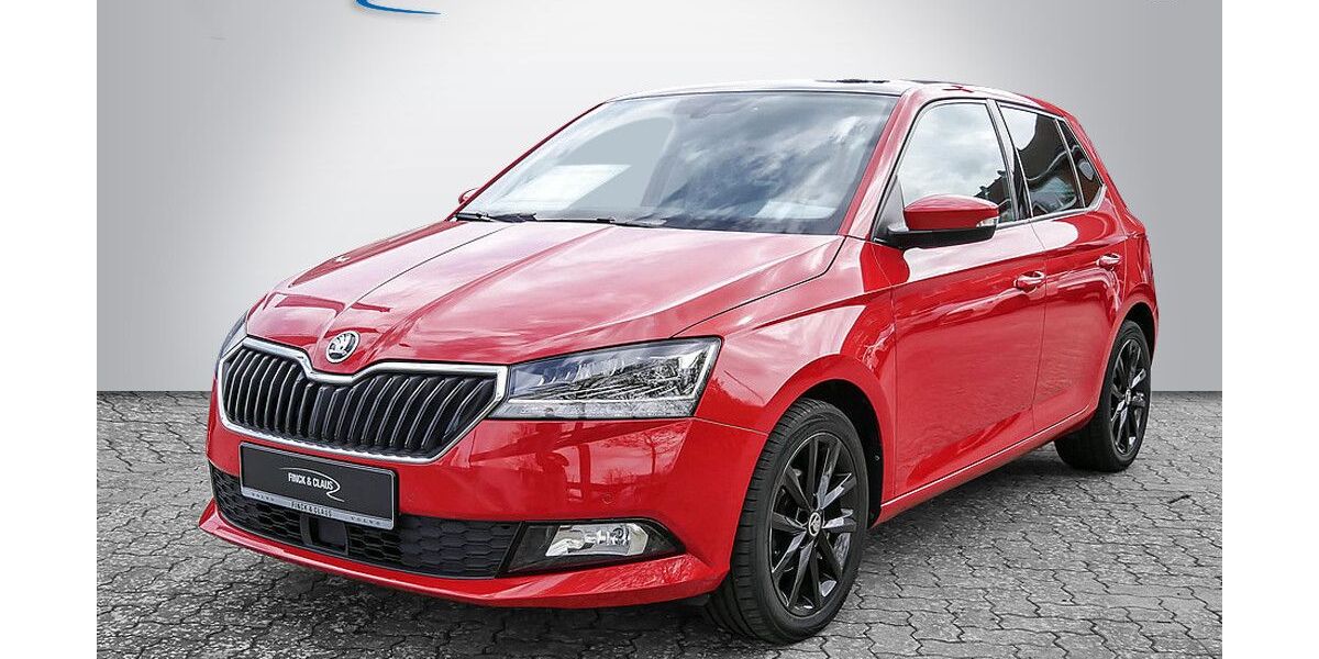 Skoda Fabia 54.000 km 15.890 &euro; Büdelsdorf 24782