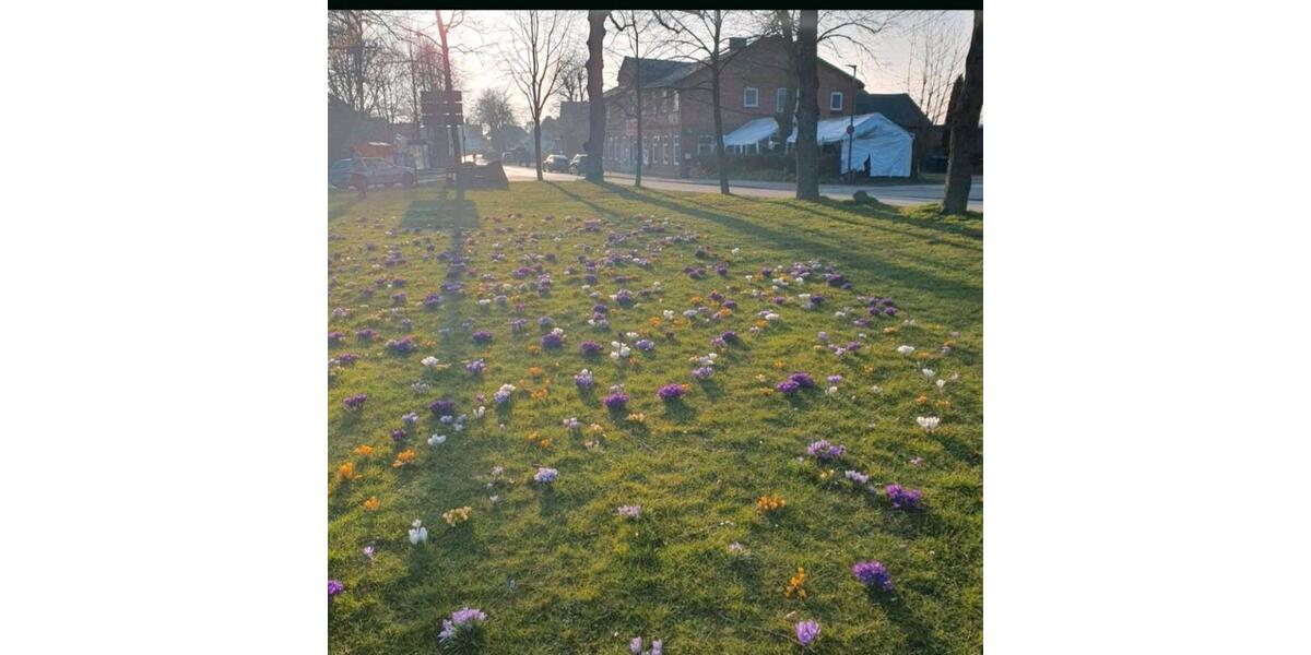 Erdgeschoßwohnung Kiel Meimersdorf - 3.5 Zimmer, 100 m&sup2;, 1.380&euro; | Angebot:26226501