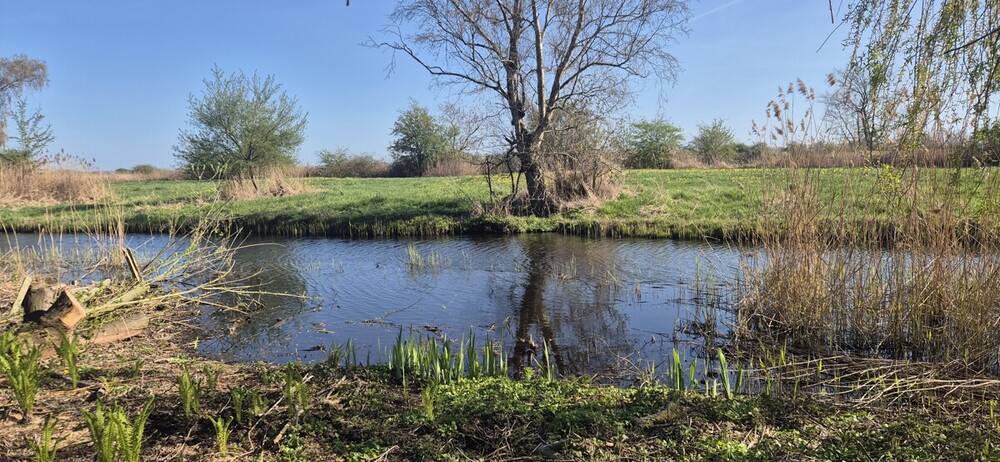 Ufergrundstück auf Eigenland in Heidkate, nahe Strand - Ferienhaus Wisch /Heidkate Heidkate | Angebot:27071489