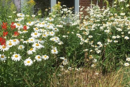 Du suchst eine 2-Zimmer Wohnung? 2 zimmer
