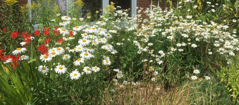 Du suchst eine 2-Zimmer Wohnung? 2 zimmer
