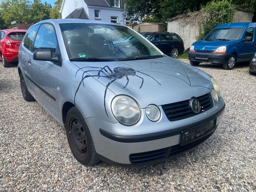 Polo