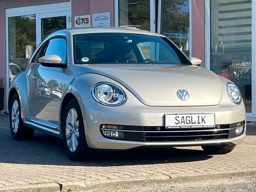 Beetle