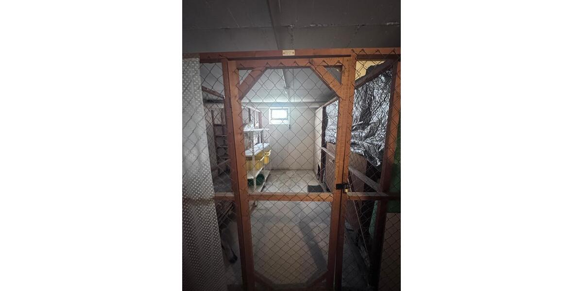 Etagenwohnung Kiel Neumühlen-Dietrichsdorf - 2 Zimmer, 45 m&sup2;, 605&euro; | Angebot:26291922