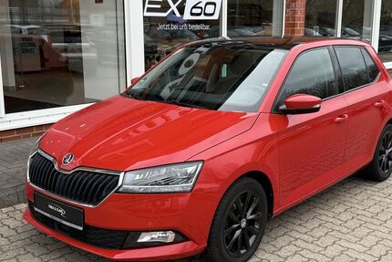 Skoda Fabia 54.000 km 16.690 &euro; Büdelsdorf 24782
