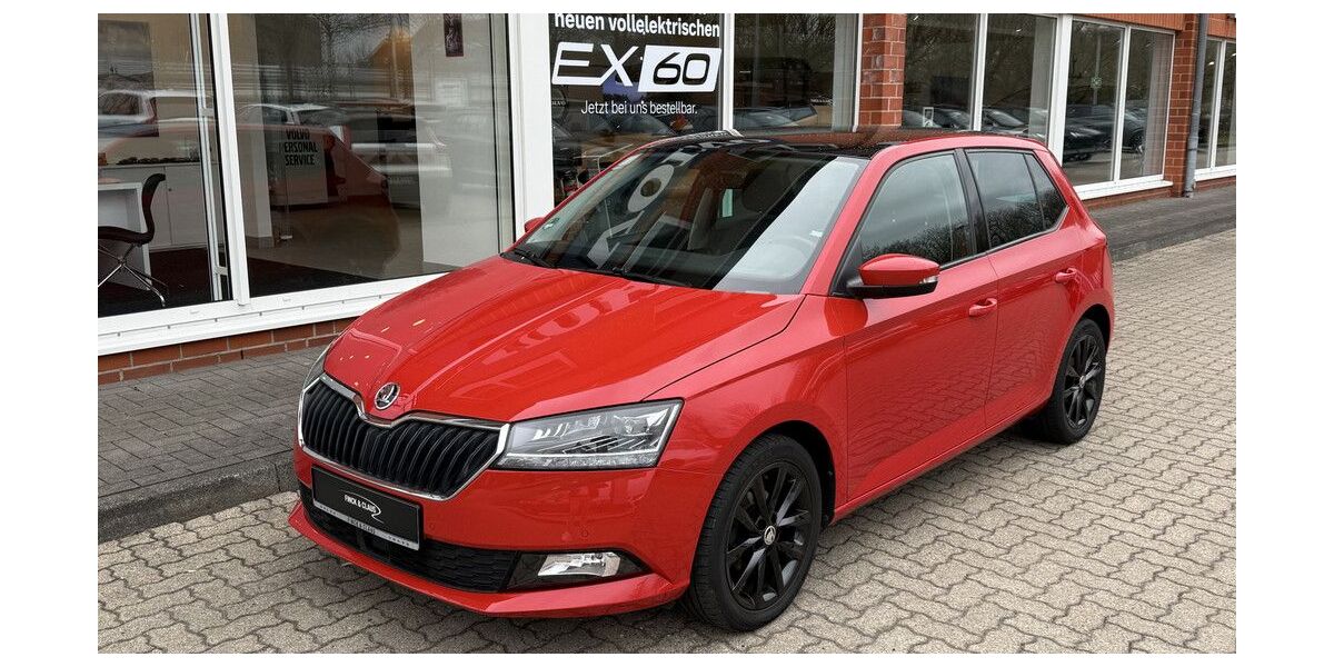 Skoda Fabia 54.000 km 16.690 &euro; Büdelsdorf 24782
